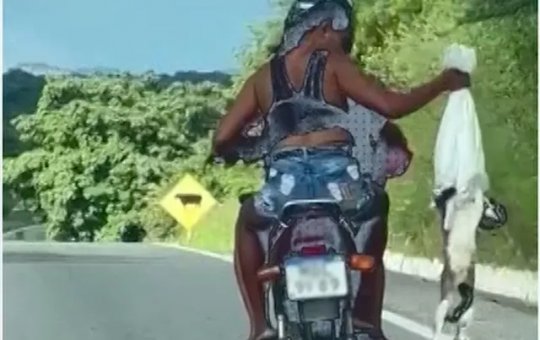 Polícia abre inquérito para investigar casal que abandonou gatos em rodovia