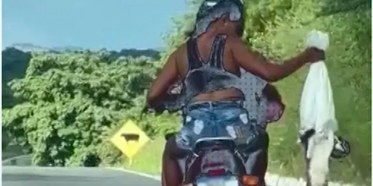 Polícia abre inquérito para investigar casal que abandonou gatos em rodovia