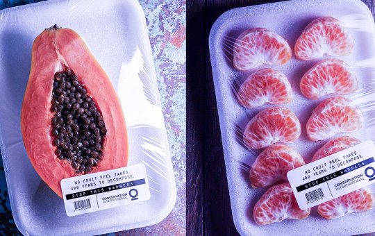 Comprar frutas já cortadas e embaladas facilita a vida de público PCD