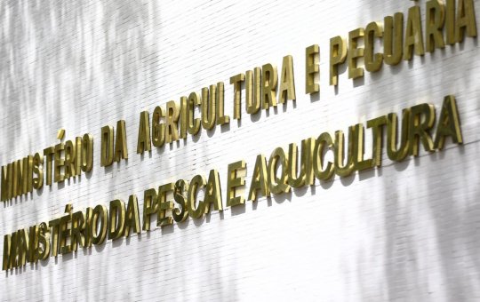Gripe aviária leva o Paraná a decretar emergência zoossanitária