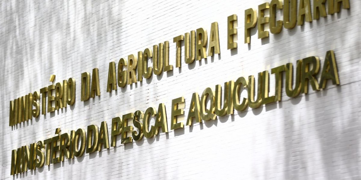 Gripe aviária leva o Paraná a decretar emergência zoossanitária
