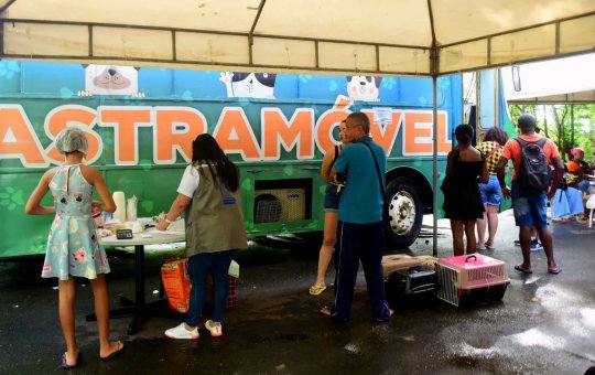 Castramóvel oferece atendimento gratuito em Salvador até setembro