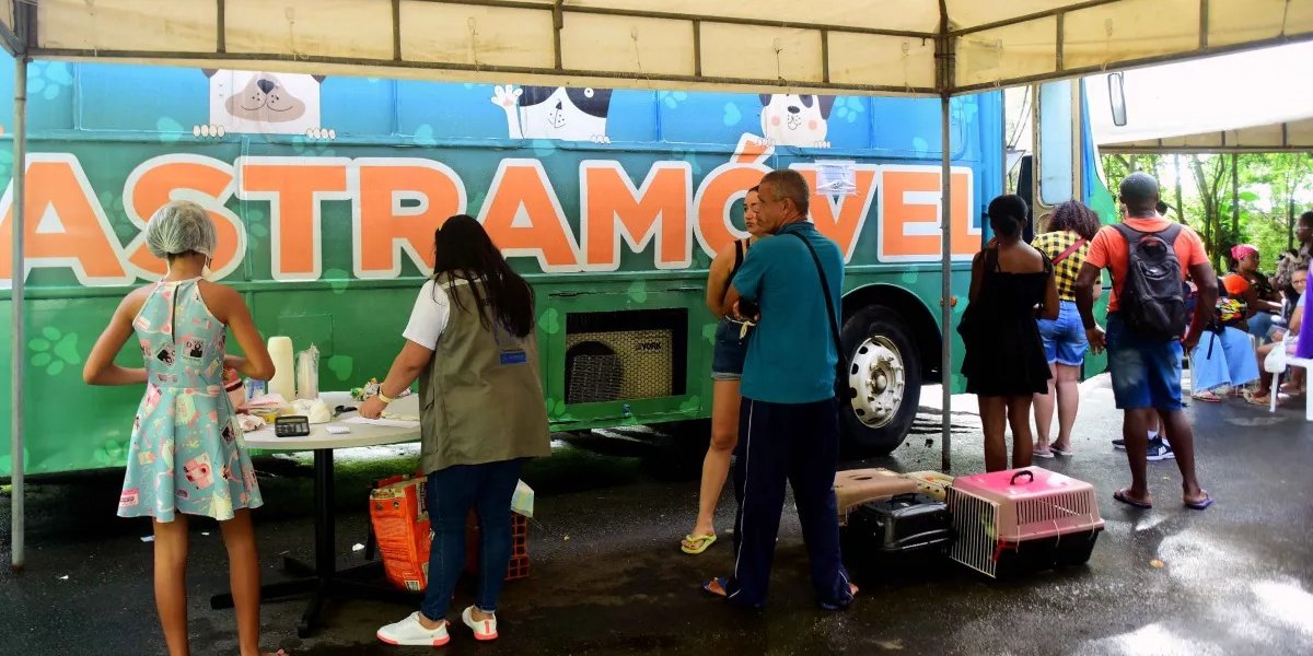 Castramóvel oferece atendimento gratuito em Salvador até setembro