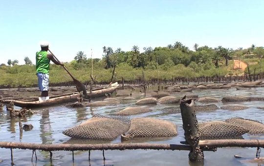 Bahia é o estado com maior número de quilombolas do país, aponta IBGE