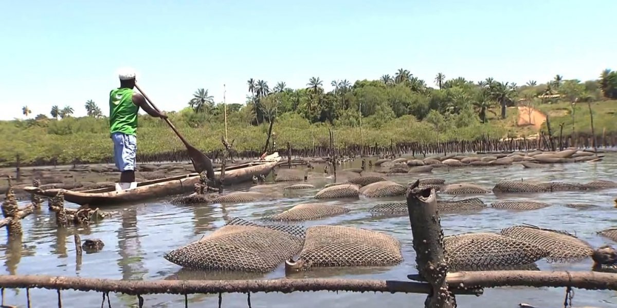 Bahia é o estado com maior número de quilombolas do país, aponta IBGE