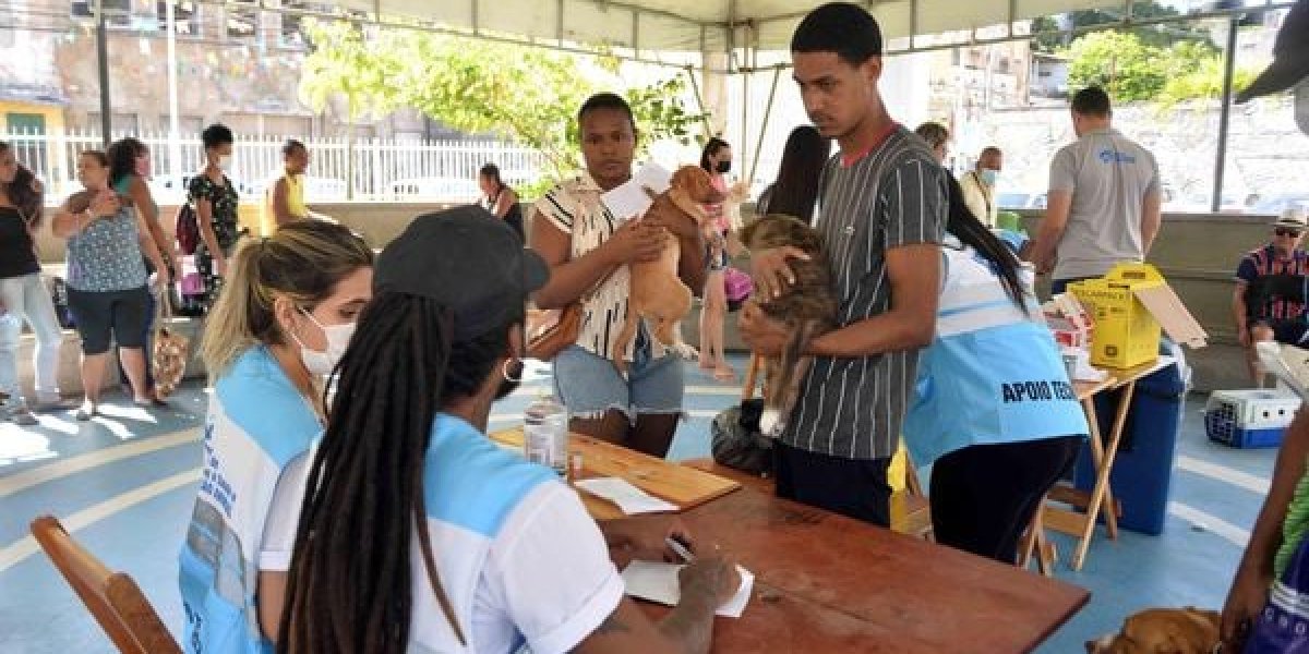 Salvador inicia campanha de vacinação antirrábica animal nesta segunda