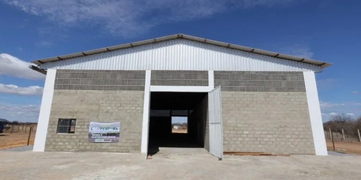 Governo realiza entregas para produtores de ovinos de Oliveira dos Brejinhos