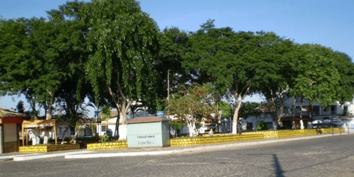 Corpo de mulher é encontrado com marcas de faca próximo à BR-330