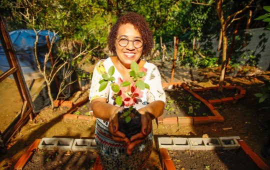 Inscrições para nova edição do Horta em Casa abrem nesta quarta-feira