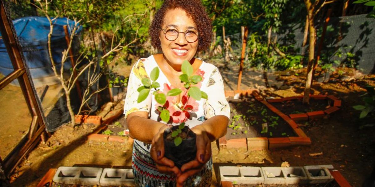 Inscrições para nova edição do Horta em Casa abrem nesta quarta-feira