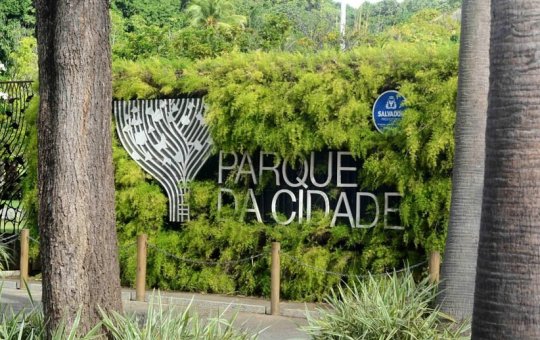 Festival no Parque da Cidade celebra Dia Internacional da Juventude no sábado