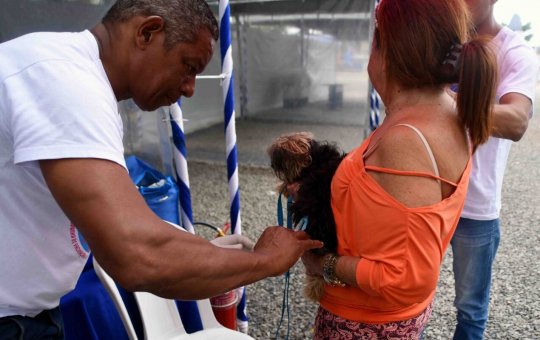 Ação oferta vacinação antirrábica para cães e gatos no Largo de Roma