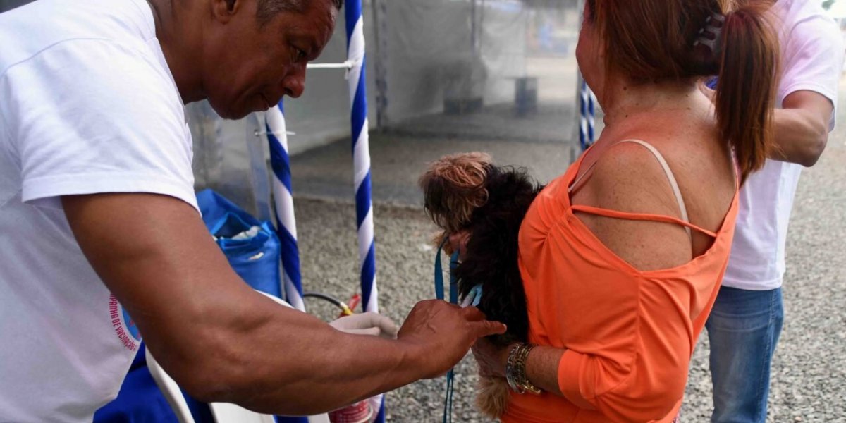 Ação oferta vacinação antirrábica para cães e gatos no Largo de Roma
