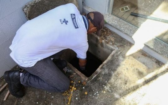 Prefeitura inicia ‘Semana de Mobilização contra o Aedes aegypti’ nesta segunda