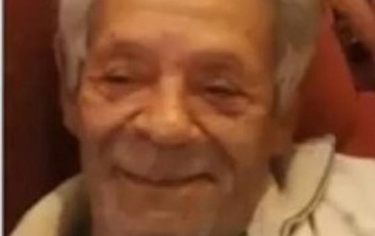 Idoso de 79 anos morre após ser atacado por abelhas no interior da Bahia