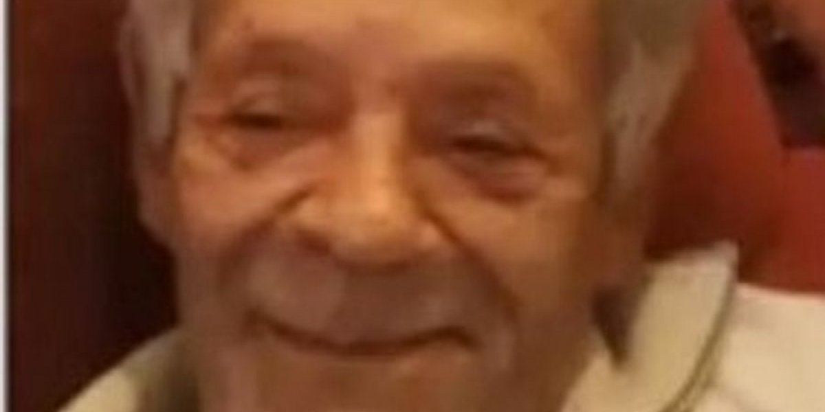 Idoso de 79 anos morre após ser atacado por abelhas no interior da Bahia