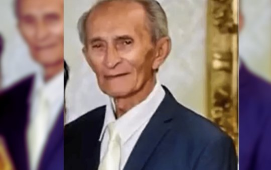 Idoso desaparece depois de sair para ver enxame de abelhas, no sul da BA