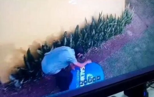 Homem é preso por vandalizar placa próximo à estátua de Mãe Stella de Oxóssi