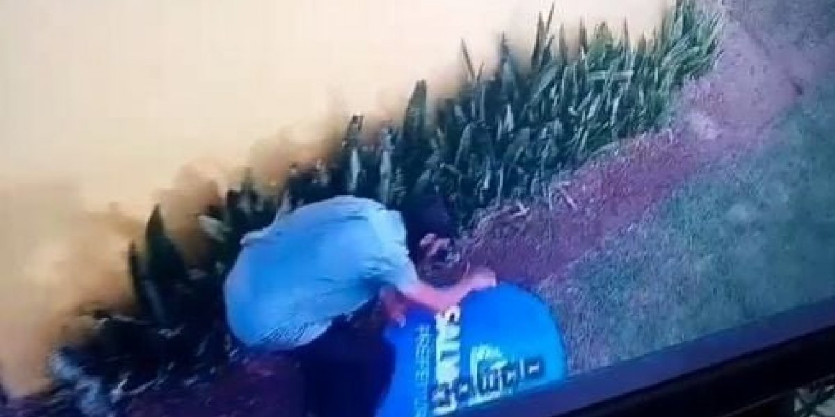 Homem é preso por vandalizar placa próximo à estátua de Mãe Stella de Oxóssi