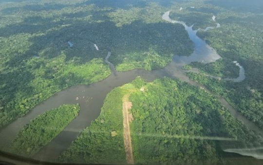 Tripulação de helicóptero é encontrada com vida após 4 dias na mata