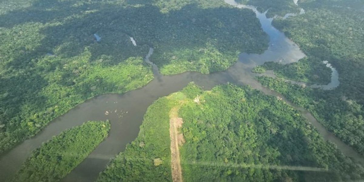 Tripulação de helicóptero é encontrada com vida após 4 dias na mata