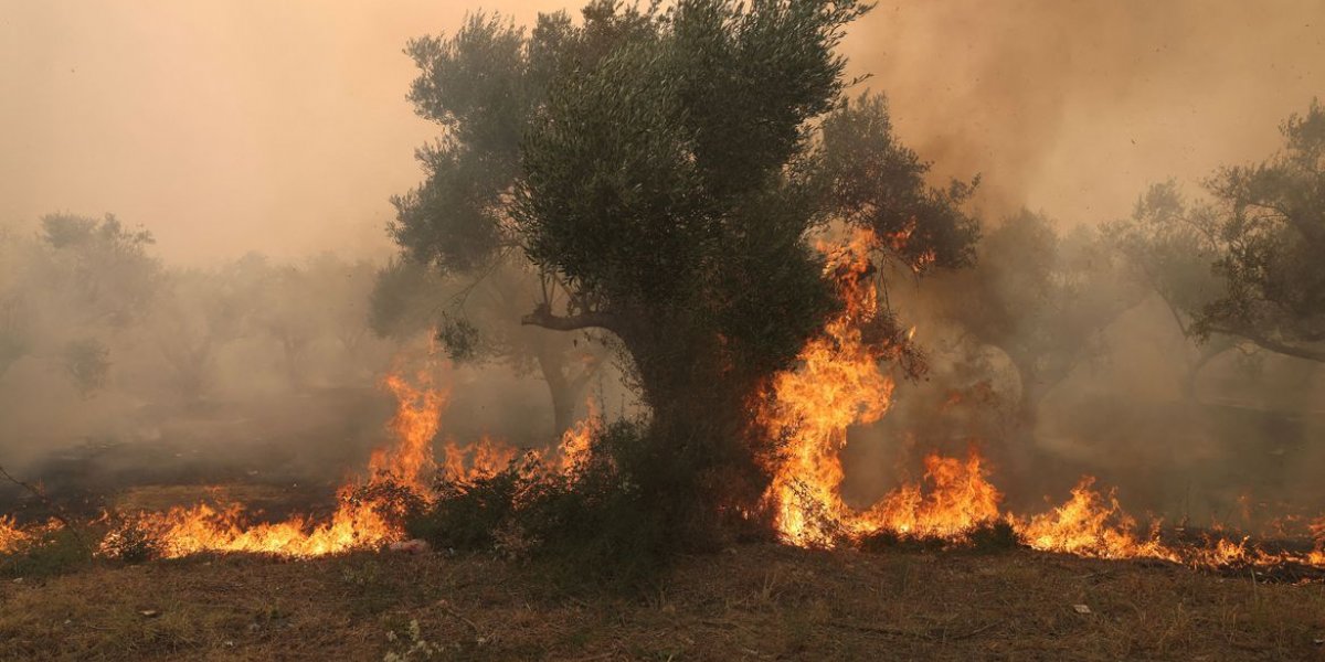 Incêndios se espalham por Grécia, Espanha e Itália