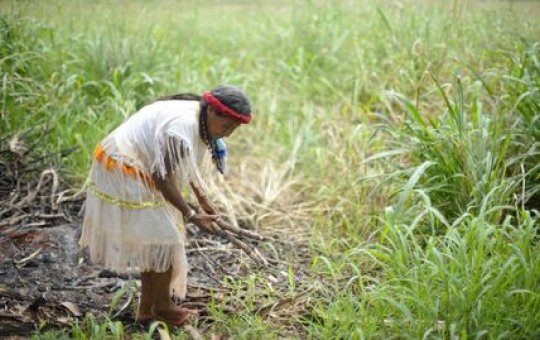 CMN flexibiliza crédito a agricultores de áreas com riscos climáticos