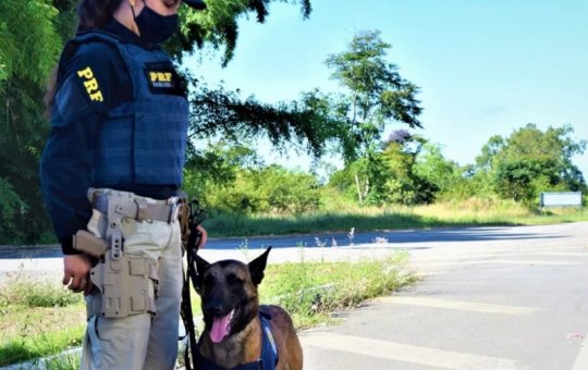 Com 20 kg de maconha, mulher é presa no sudoeste da Bahia