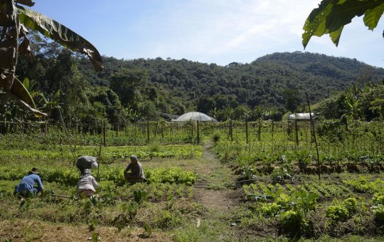 Lei institui política de empreendedorismo para jovens no campo