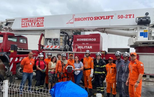 Corpo de Bombeiros resgata gato em copa de árvore na RMS