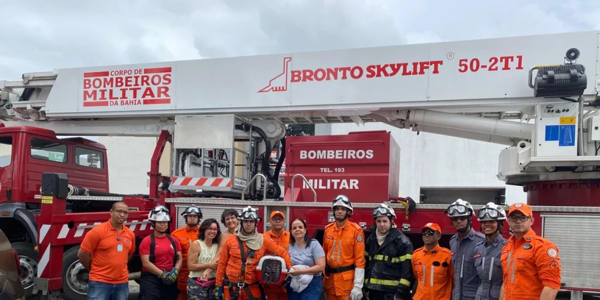Corpo de Bombeiros resgata gato em copa de árvore na RMS