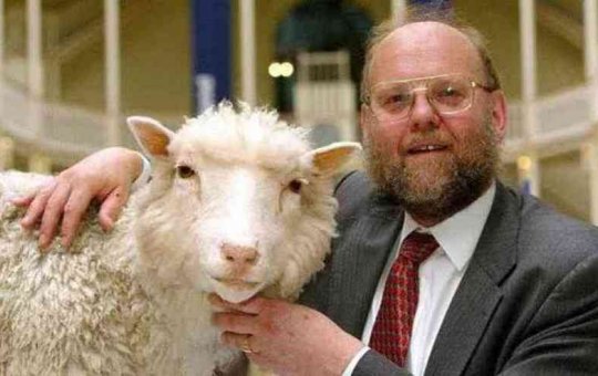 Cientista responsável por clonagem da ovelha Dolly, morre aos 79 anos
