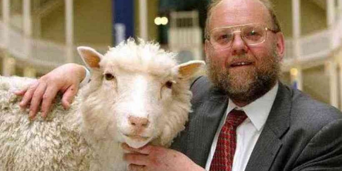Cientista responsável por clonagem da ovelha Dolly, morre aos 79 anos
