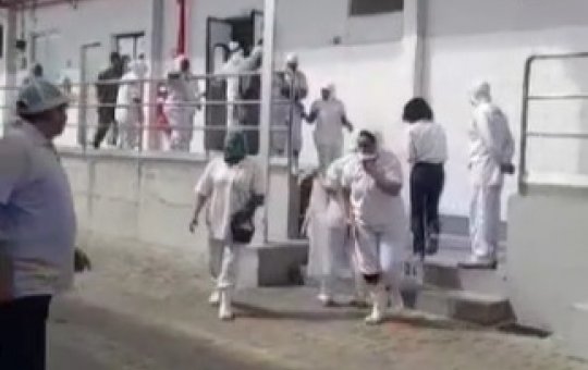 Funcionários de frigorífico são hospitalizados após vazamento de gás