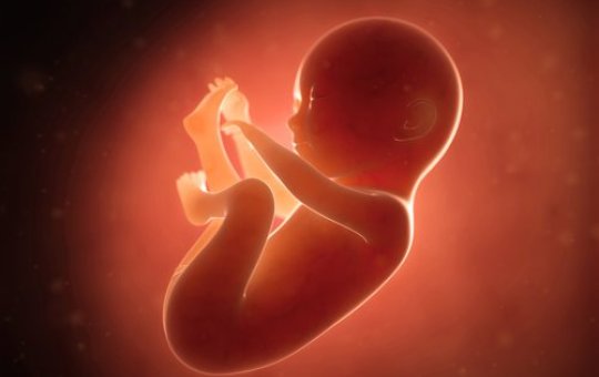 Feto humano é encontrado em lixo na RMS