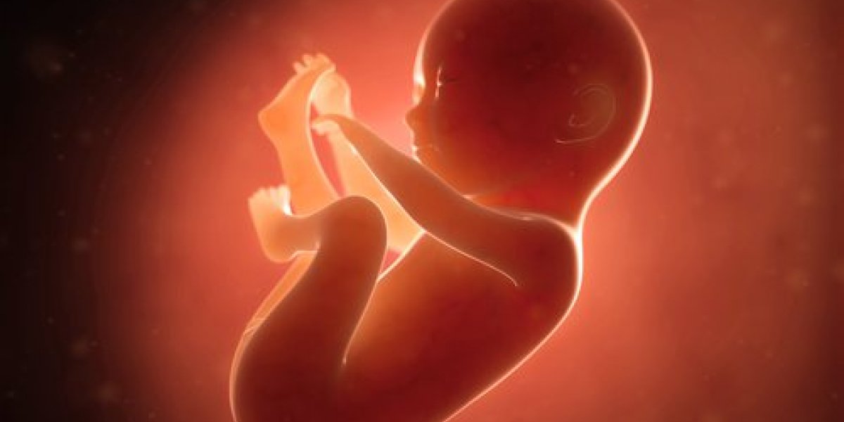 Feto humano é encontrado em lixo na RMS