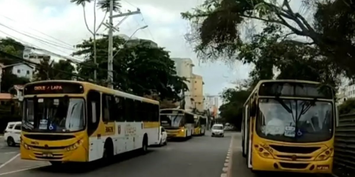 Ônibus voltam a rodar no Vale das Pedrinhas
