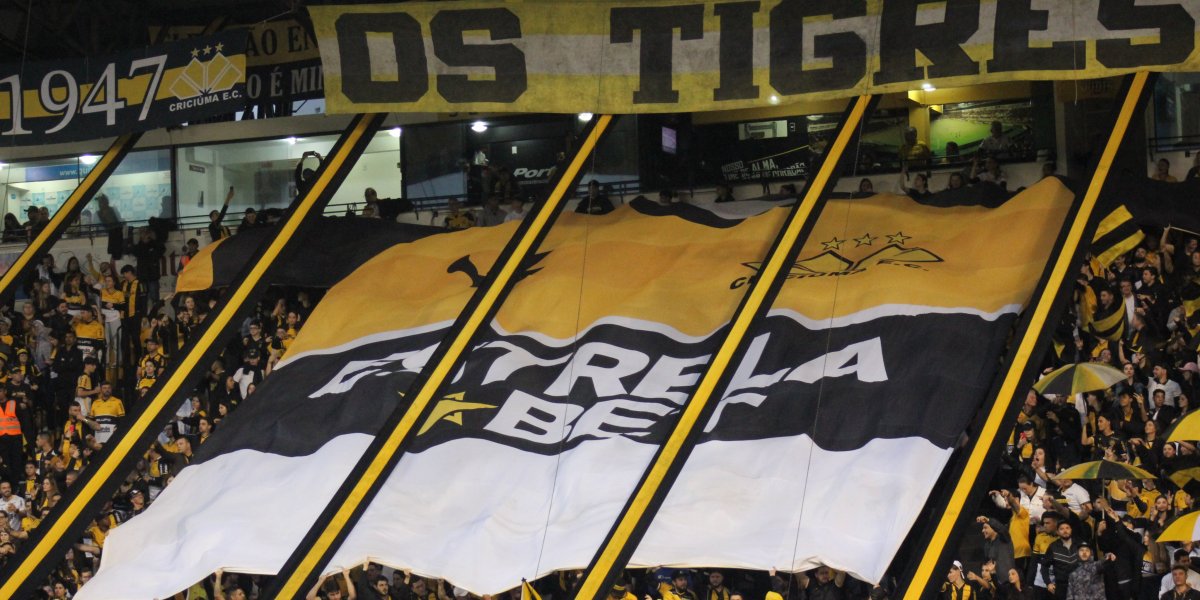 Com gol polêmico, Vitória perde para o Criciúma
