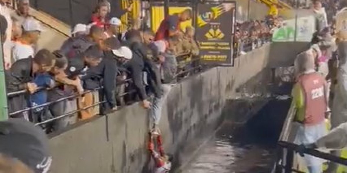 Vídeo: Torcedor do Vitória pula em fosso de estádio para pegar jaqueta