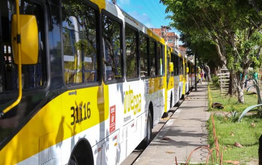 Linhas de ônibus de salvador sofrem mudanças
