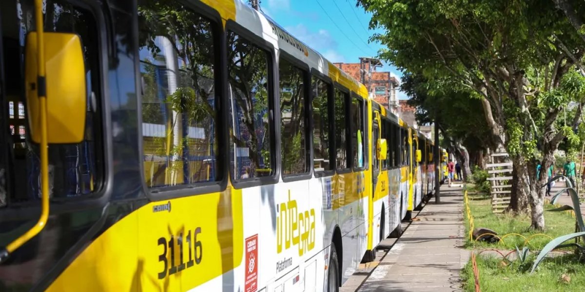Linhas de ônibus de salvador sofrem mudanças