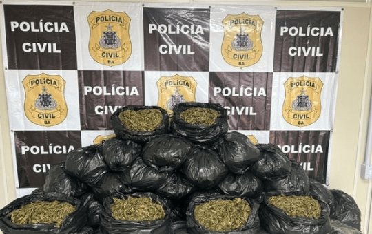 Mais de 40 quilos de maconha são apreendidos dentro de imóvel em Salvador