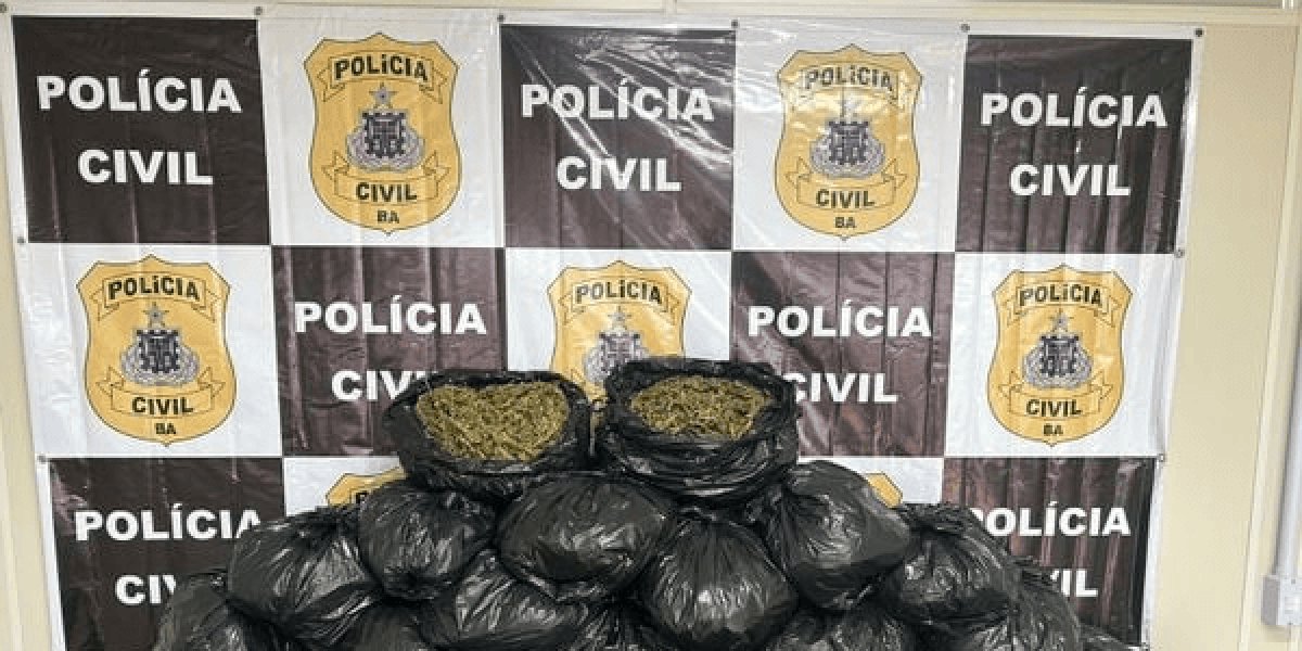 Mais de 40 quilos de maconha são apreendidos dentro de imóvel em Salvador