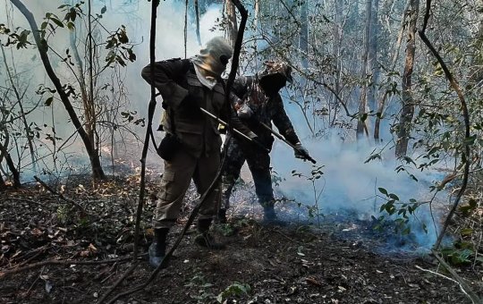 Dois estados decretam emergência em razão de incêndios no Pantanal