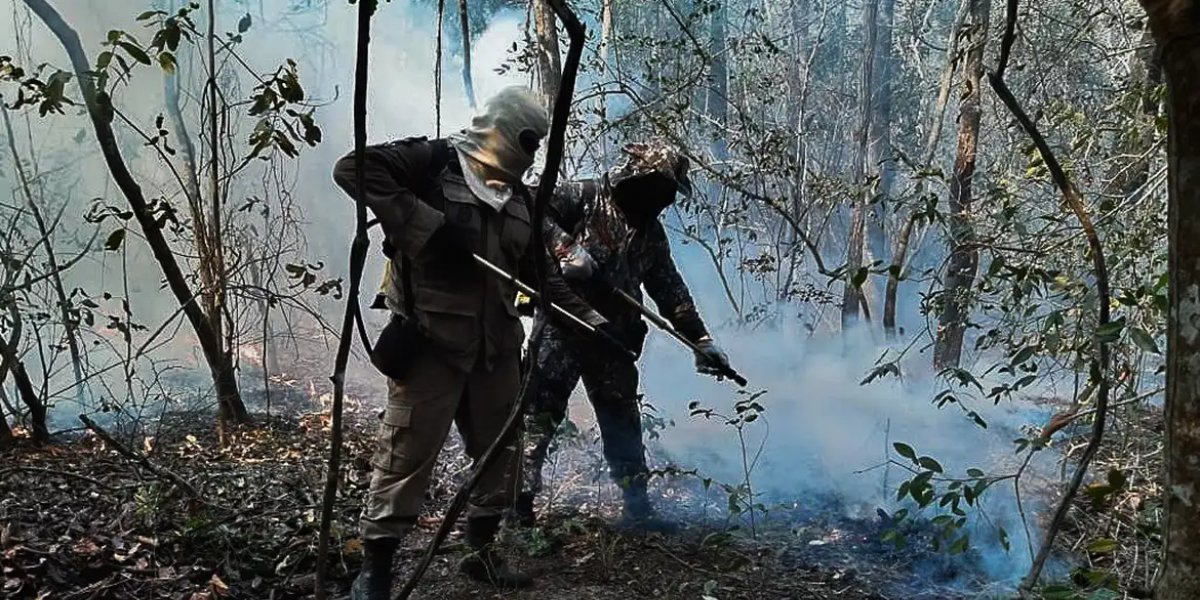 Dois estados decretam emergência em razão de incêndios no Pantanal