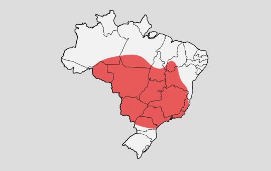 Cerca de 10 capitais do país terão temperaturas próximas a 40ºC