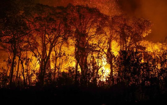 Pantanal tem mais de 3 mil incêndios em novembro; recorde histórico