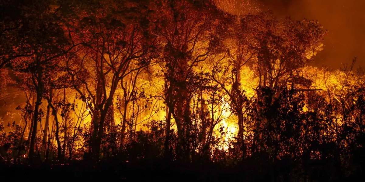 Pantanal tem mais de 3 mil incêndios em novembro; recorde histórico