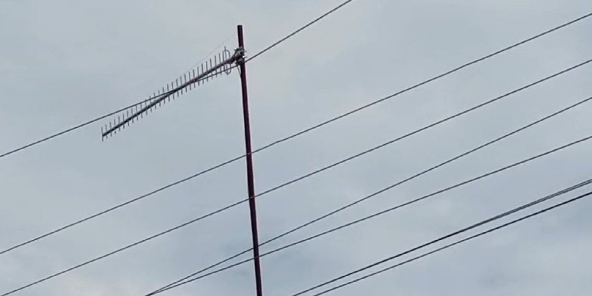 Idoso morre eletrocutado ao instalar antena em Barreiras