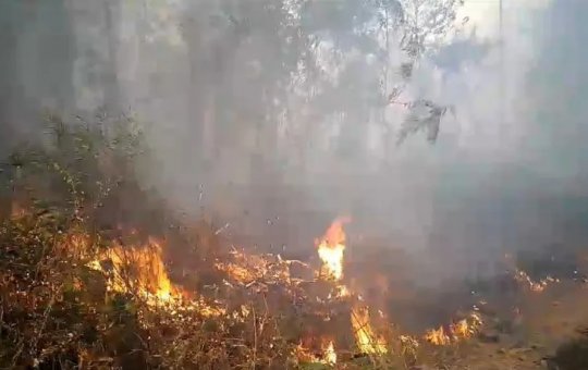 Território de Comunidade Indígena é atingido por incêndio que durou três dias